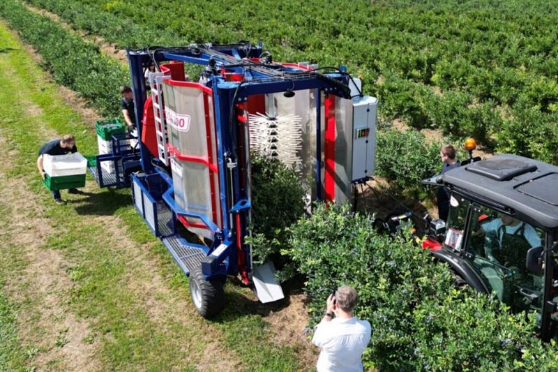 Punoredni kombajn za borovnicu i malinu JAGODA 300
